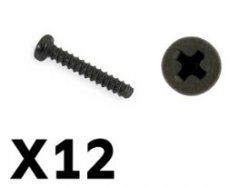(FTX9755) FTX TRACER PAN HEAD SELF TAPPING SCREWS PBHO2*12MM