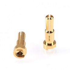 RP 0197 (RP 0197) RUDDOG 4/5mm Dual Bullet Gold Plug Male (2pcs)