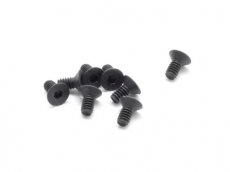 (SW 108020) SWORKz FH/ST HEX Screw M2x4mm (10)