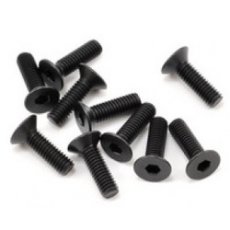 (SW108005) SWORKz FH/ST Screw M3x14mm (10)