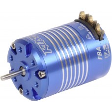 (TAM 49009175 STOCK) RUSH 17.5 brushless motor